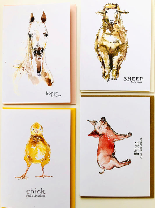 Animal Greeting Cards - 6 - Pack - J.Heloise