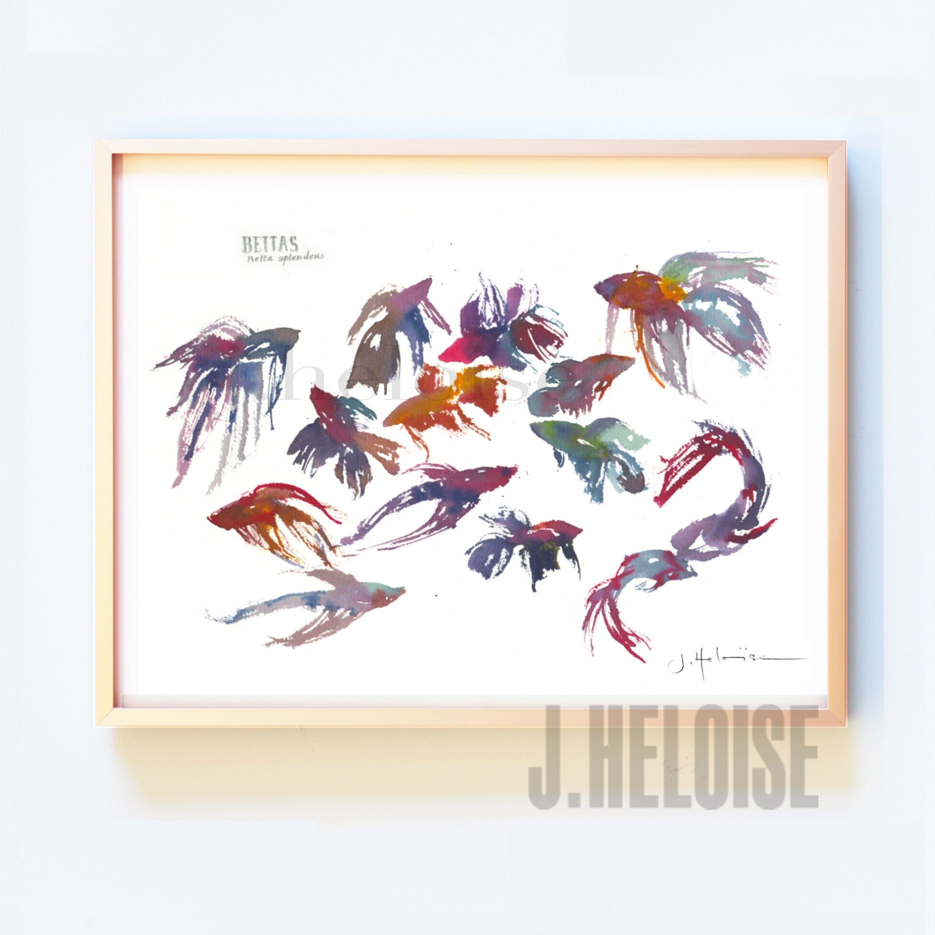 Bettas (fish) - Art Print - J.Heloise