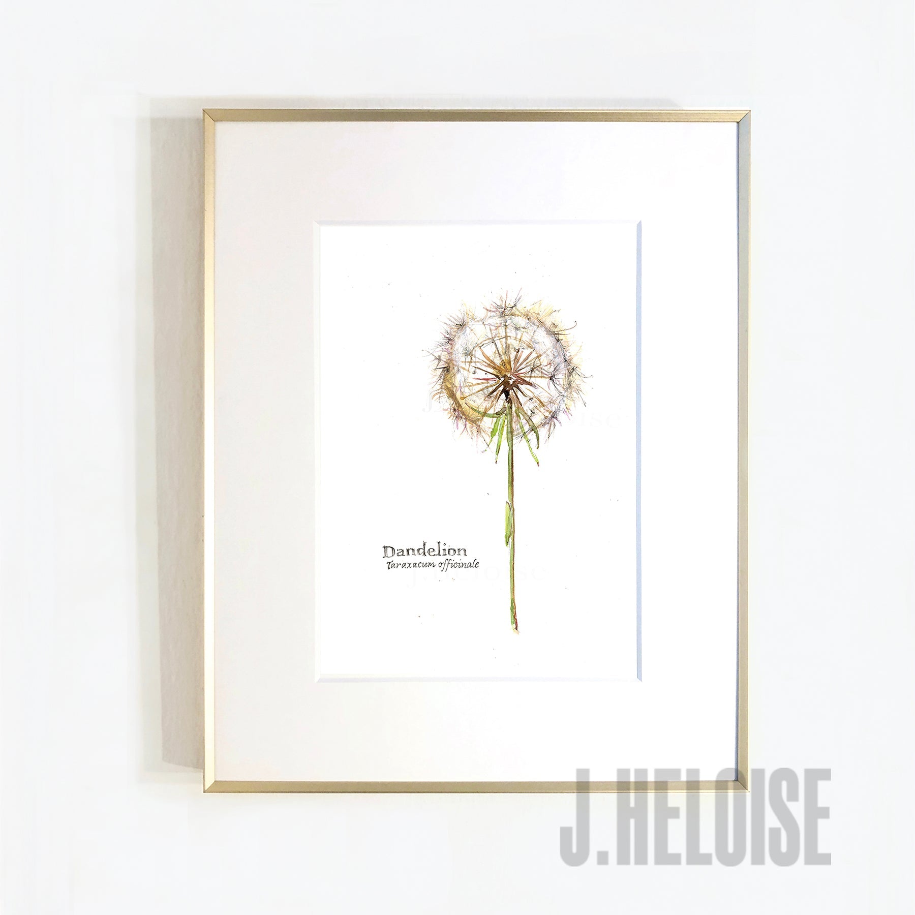 Dandelion - MINI Art Print - J.Heloise