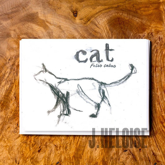 Greeting Card - Cat in Grey - J.Heloise