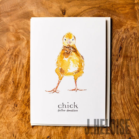 Greeting Card - Chick - J.Heloise