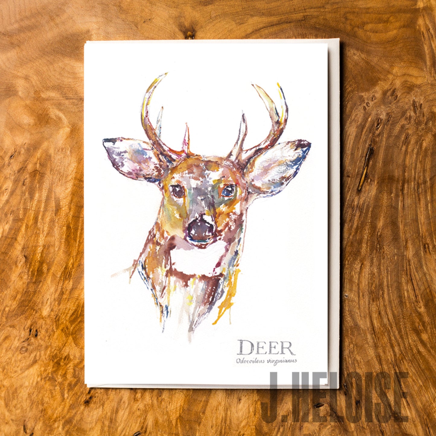 Greeting Card - Deer Head - J.Heloise