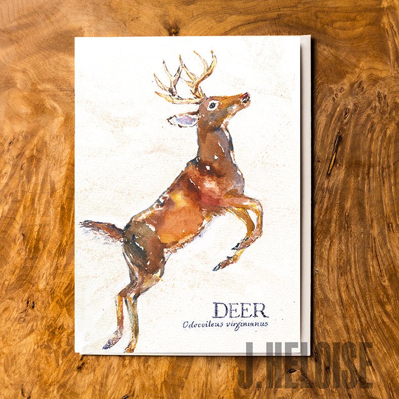 Greeting Card - Deer (Leaping) - J.Heloise