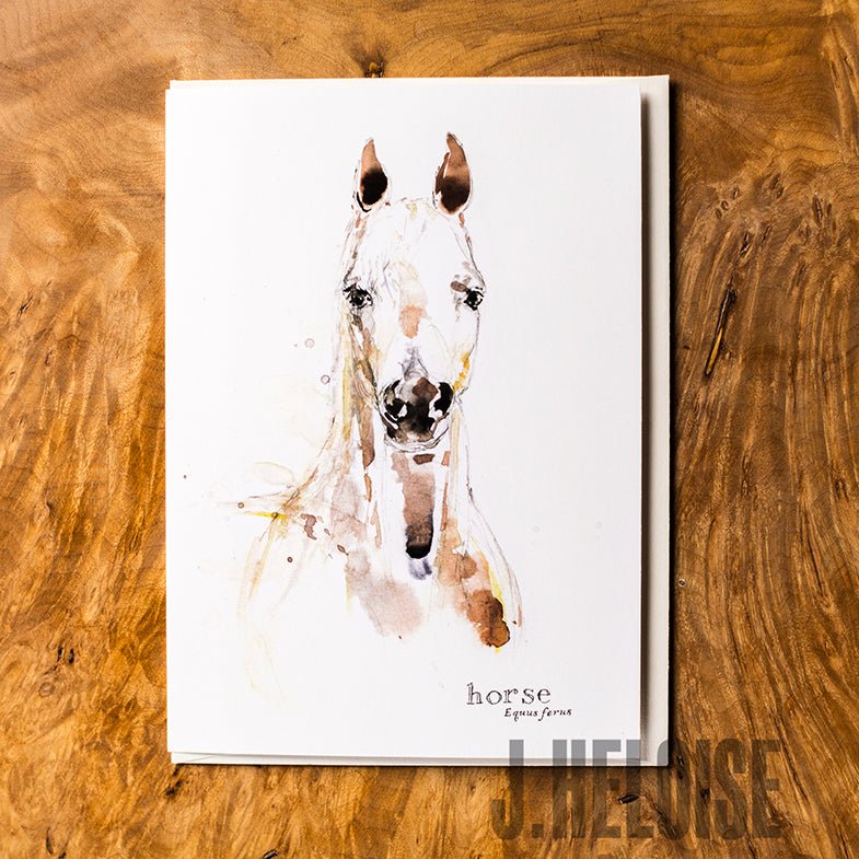 Greeting Card - Horse - J.Heloise