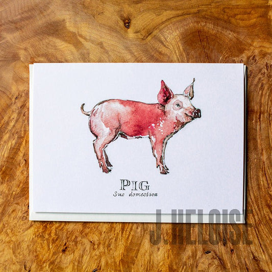 Greeting Card - Pig - J.Heloise