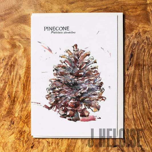 Greeting Card - Pinecone - J.Heloise