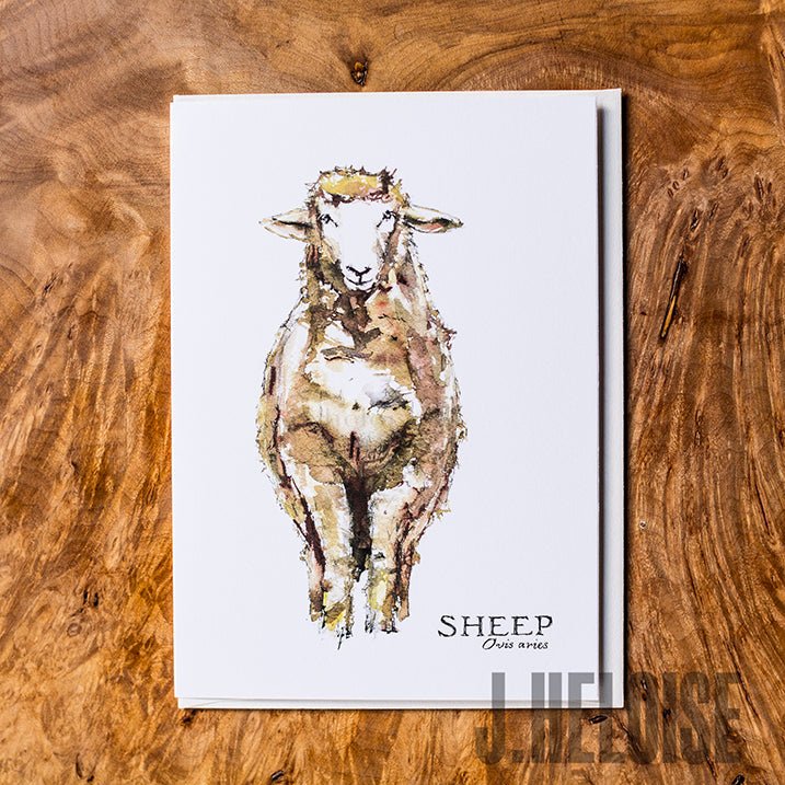 Greeting Card - Sheep - J.Heloise