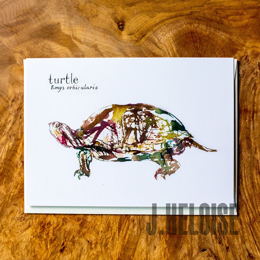 Greeting Card - Turtle - J.Heloise